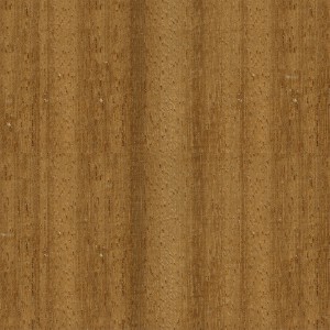 wood-texture (58)