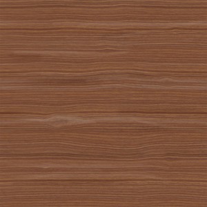 wood-texture (70)