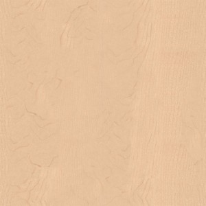 wood-texture (79)