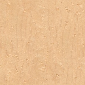 wood-texture (99)